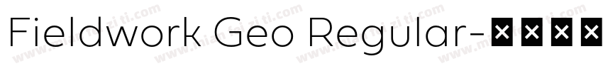 Fieldwork Geo Regular字体转换